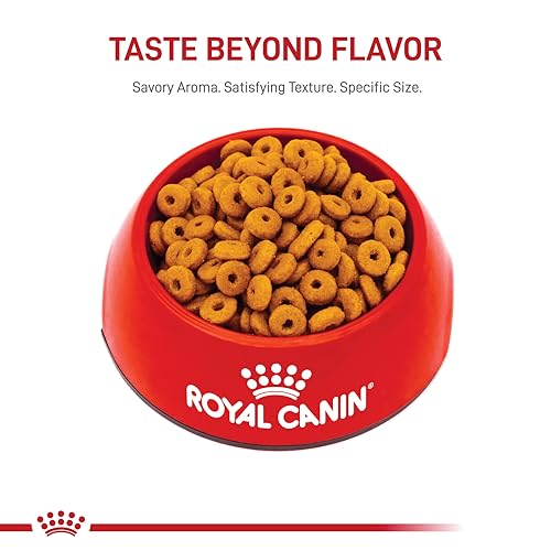 Royal Canin Digestive Care Dry Cat Food, 3 lb. bag