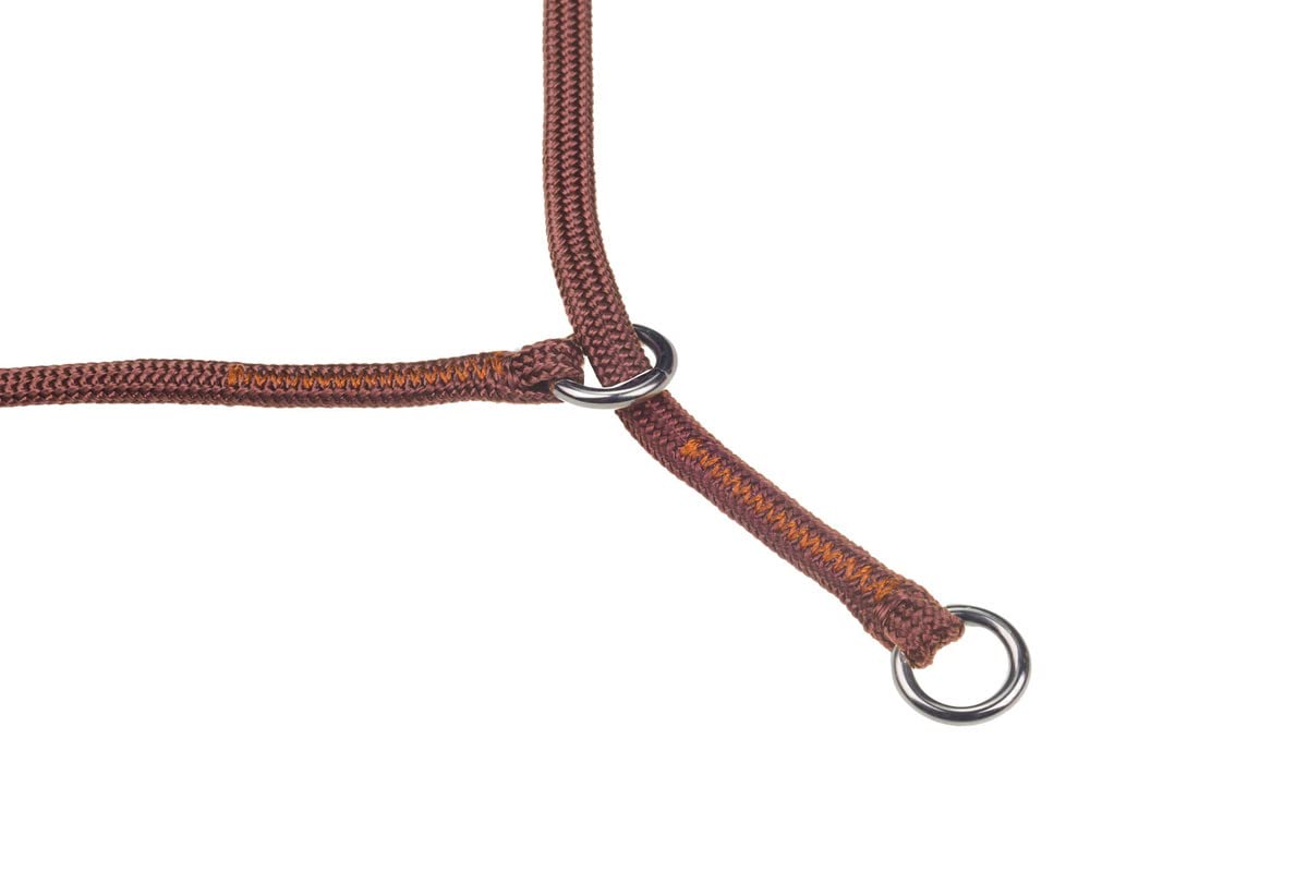 Show Slip Collar - Conformation Dog Collar - Flat Braided Premium Nylon - Chrome Plated Hardware Rings - Perfect for Small Pups