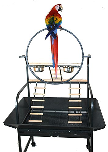 Extra Large O Wrought Iron Stand For Medium Or Large Parrot Amazon Cockatoos Macaws Play Gym Ground Seed Skirts(Black Vein)