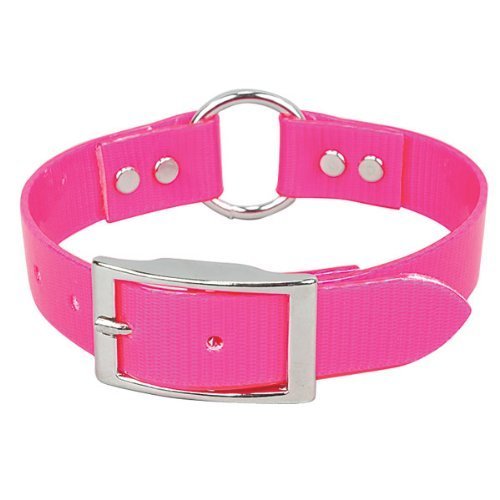 Omnipet Sunglo Ring-In-Center Dog Collar, 3/4' Wide, Pink, Fits 11.5'- 15' Neck Sizes, Vibrant Colors & Tough Construction Fo
