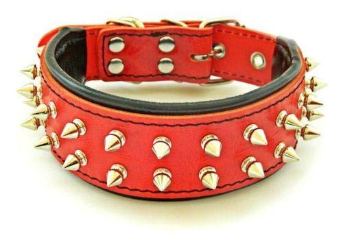Bestia Frenchie Red Genuine Leather Dog Collar. Studded. Soft Padded