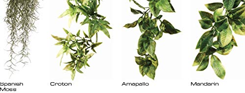 Exo Terra Silk Terrarium Plant, Medium, Ruscus