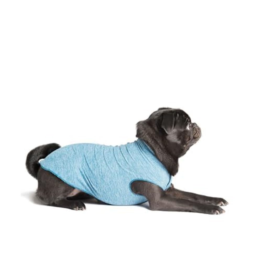 Gold Paw Sun Shield Dog Tee – T-Shirt For Canines – Uv Protection, Pet Anxiety Relief, Wound Care – Protects Against Foxtails, Aids Alopecia - Machine Washable, All Season – Size 22 – Ocean Blue