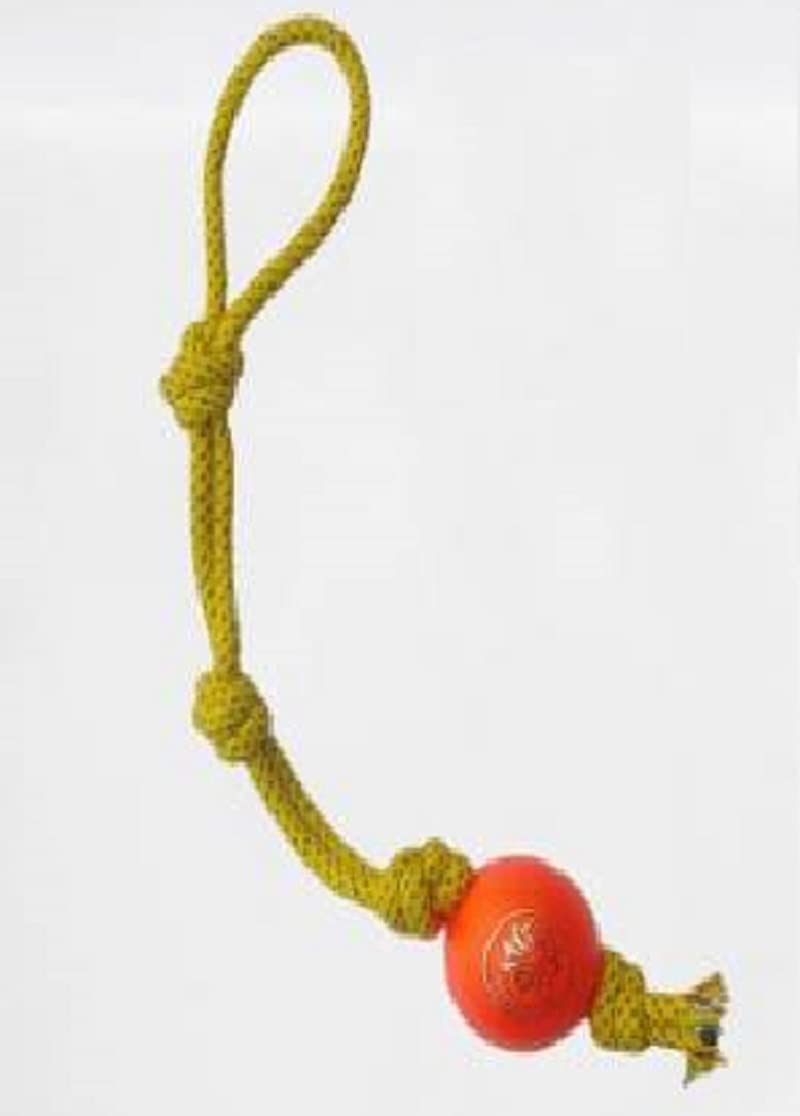 Dogista Durable 4 Knot Plastic Ball Knotted Cotton Rope Toys For Teeth Cleaning And Chewing, Small & Medium Dog/Cat/Puppy (Multi