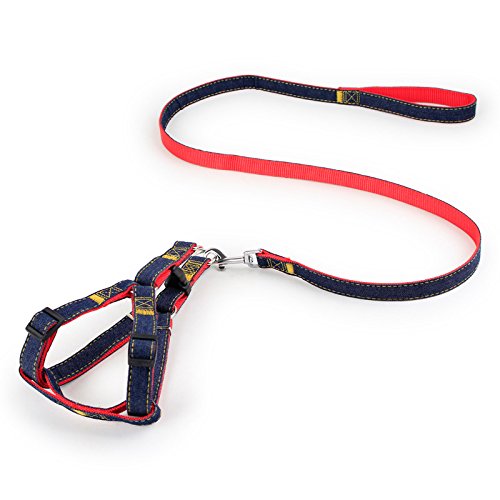 Hypeety Dog Denim Leash Harness Adjustable Heavy Duty Durable Dog Collar No-Pull For Training Walking Running, Good For Large Medium Small Dog (L (11.81'-17.77' Chest Girth))