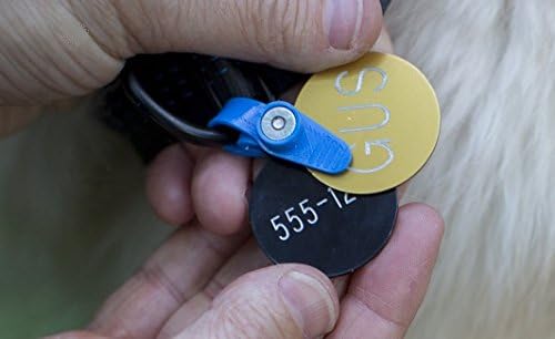 FreezeTag Dog Silencer and Connector, Pink