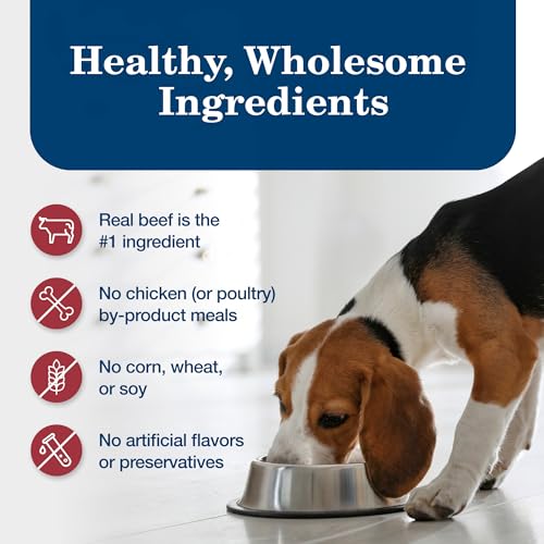 Blue Buffalo Homestyle Recipe Adult Wet Dog Food, Made with Natural Ingredients, Beef Dinner With Garden Vegetables, 12.5-oz Can