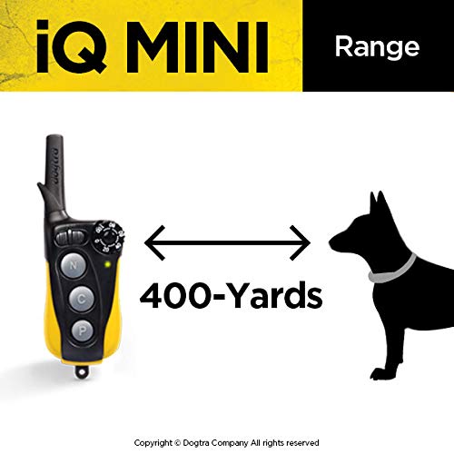 Dogtra Iq Mini Small Dog Remote Training System - 400 Yard Range Collar, Rechargeable Remote Trainer, Waterproof, Static, Vibration Pager Training With Petstek Dog Training Clicker