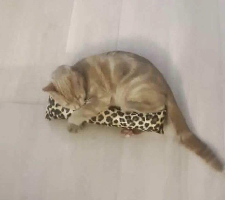 West Coast Pet Products 15' Catnip Cat Kicker Toys/Kitty Kick Sticks/Cat-Nip Kick Sticks (Leopard Print) (Kickers Filled With 1 Oz Premium Canadian Catnip)