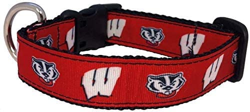 College Dog Collar (Large, Wisconsin)