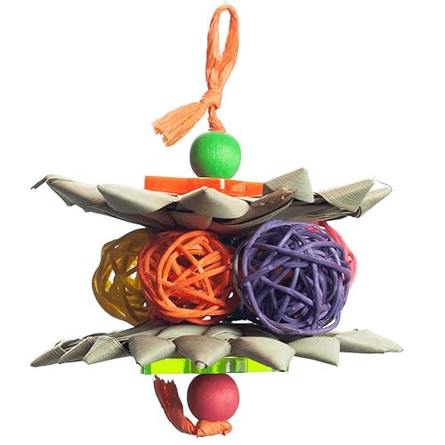 AEC TOY NIBBLE PALM STAR CHW