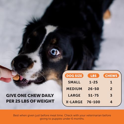 Pet Honesty Senior Hemp Hip & Joint Supplement for Dogs - Dog Joint Supplement with Hemp Oil & Powder, Glucosamine for Dogs, Col