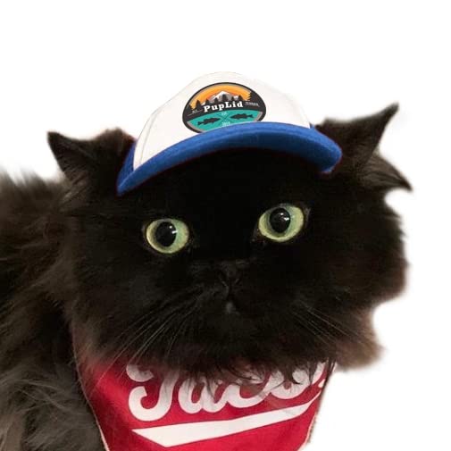 Puplid Trucker Hats For Kittens - Premium Stylish Sun Protection For The Modern Cat - Adjustable Secure Fitting Cat Hat (Blue, A
