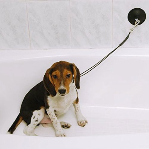 Pro Guard Dog Grooming Tub Restraint & Bathing Tether, One Size, Black, Stainless Steel, Model PG00085