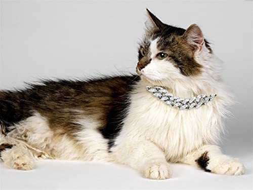 Halukakah Cat Collar - Carat - Iced Out Diamond Cuban Link Gold Chain For Cats & Kittens - Platinum Plated 9'' Collar Size - For