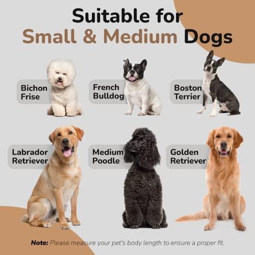 dCee Dog Sofa Bed for Medium Dogs of 70 Lbs, 33 in. Soft Velvety Dog Couch for Comfort Sleep and Joint Support, Light Grey