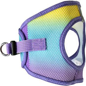Doggie Design No Choke Dog Harness - Simple Step-In And Go Dog Vest For Small, Medium, And Large Breeds - Breathable Mesh Polyester Pet Harness - Lemonberry Ice - L