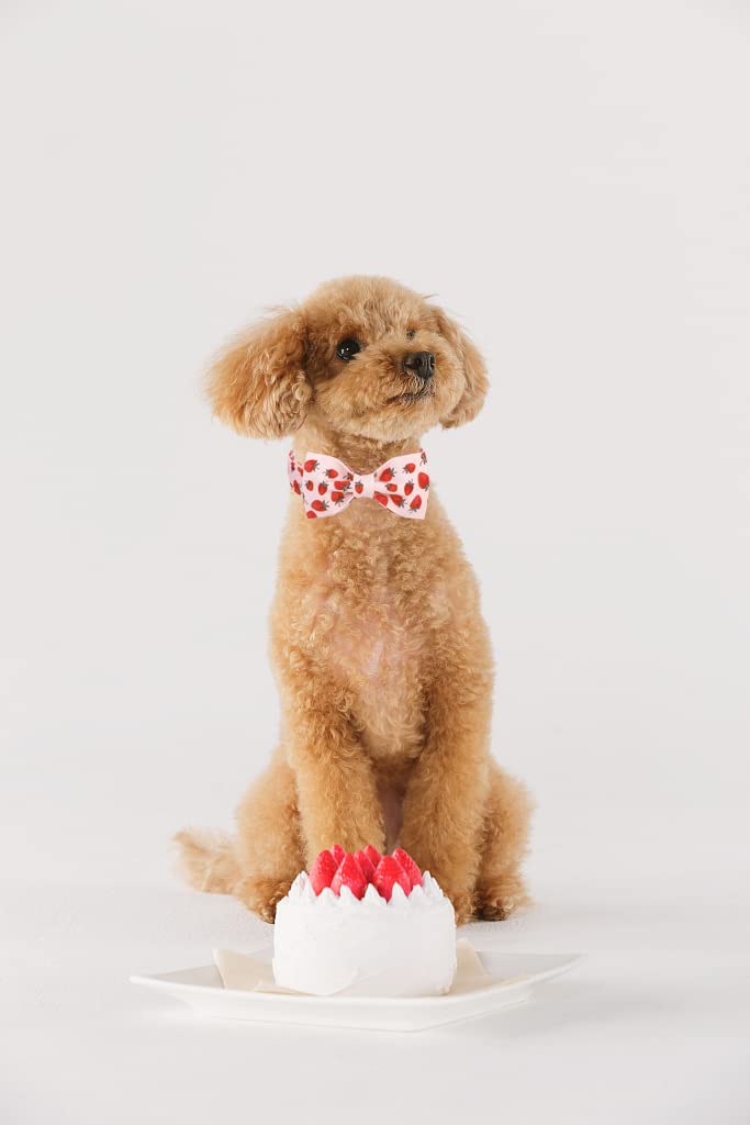 Lionet Paws Dog Collar With Bowtie - Summer Cute Cotton Adjustable Bowtie Dog Collar With Metal Buckle For Small Dog Girl Boy Gift, S, Neck 10-16In