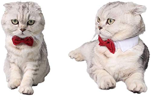 Selected Adjustable Dog Bow Tie Puppy Pet Costume Collar Stripe Bow Tie Dogs Cats Puppy Tie Neck Tie - Perfect For Wedding Tie Party Accessories (Formal Collar Bowtie-Red)