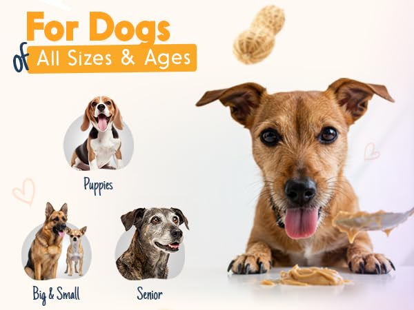 Bark Bistro Company, Beef Broth + Chicken Collagen + Beehive Buzz, 100% Natural Dog Peanut Butter, Healthy Dog Treat, Made in US