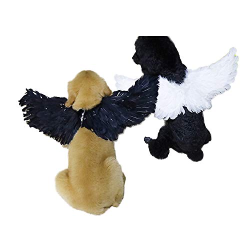 Weeh Pet Halloween Costume Cosplay Angel Devil Black White Wing For Dog Cat Rabbit Piggy - Funny Gift At Halloween Party Anime Theme Birthday Christmas (White, Small)