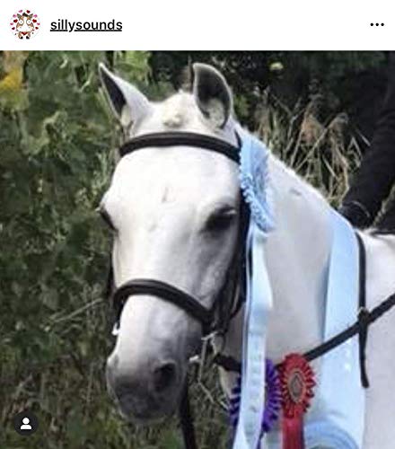 Silly Sounds Horse Earplugs (Black) 4Pk