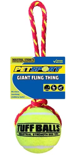 Petsport Giant Fling Thing Dog Toy, 4-Inch