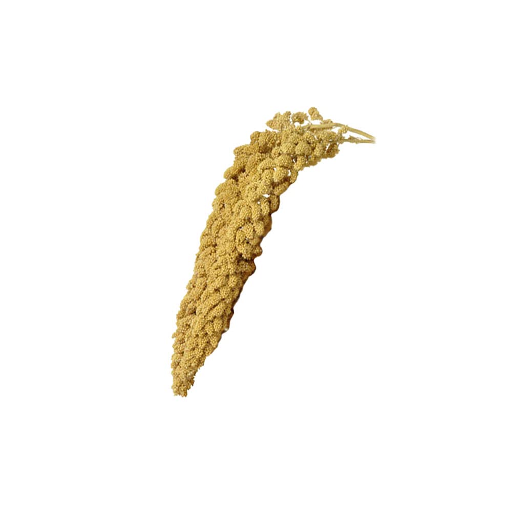 Birds LOVE Spray Millet - 9 oz GMO-Free, No Stems (Only Edible Tops) - Healthy Treat for Parakeets, Cockatiels, Finches, Canarie