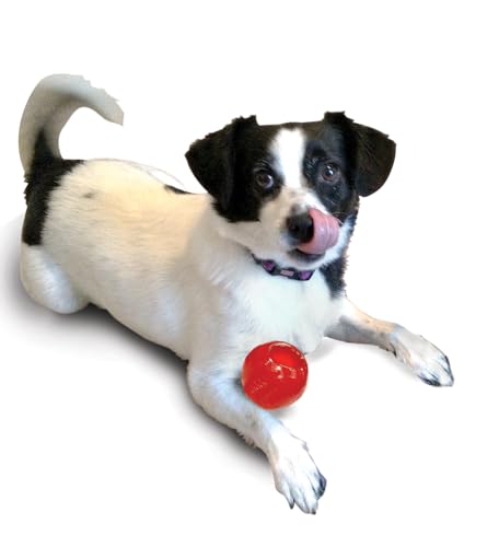 SPOT Play Strong Small Ball - Durable TPR, Treat Hiding, Virtually Indestructible Dog Toy for Aggressive Chewers, Small Dogs & P