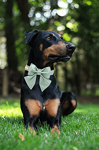 Unique Style Paws Silk Green Color Dog Collar Adjustable Durable Dog Collar With Bow Wedding Bowtie Collar For X-Small Puppy And Cats