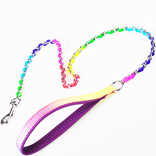 Jwpc Rainbow Color Stainless Steel P Chock Metal Chain Training Dog Pet Collars Necklace Walking Training Pet Supplies For Small Medium Large Dogs, S