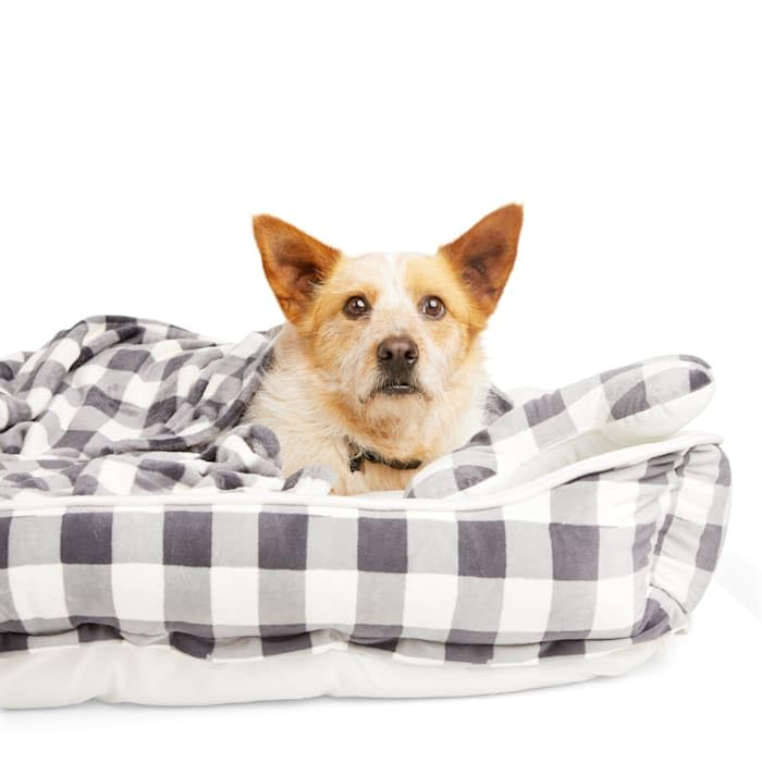 Everyyay Essentials Dog Bed Bundle, 36 L X 30 W X 6.5 H, Plaid