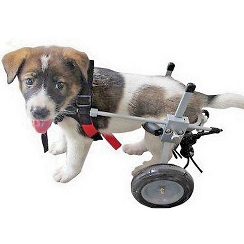 Best Friend Mobility XL Dog Wheelchair 23-29 BFMXL