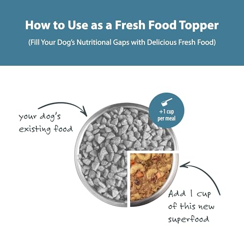 JustFoodForDogs Pantry Fresh Wet Dog Food, Complete Meal or Dog Food Topper, Turkey & Whole Wheat Macaroni Human Grade Dog Food