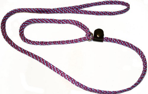 Lone Wolf Slip Lead With Leash And Collar For Pets, 1/4 By 6-Feet, Raspberry/Sky Blue Spiral