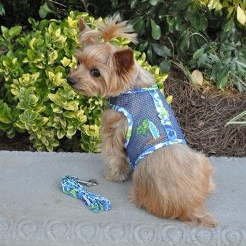 Doggie Design Cool Mesh Dog Harness - Dog Vest, Pet Harness, Simple Step In And Go Design, Harness With Leash, Surfboard Blue And Green, X-Small