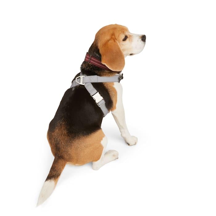 Reddy Grey Reflective Dog Harness X-Large/Xx-Large