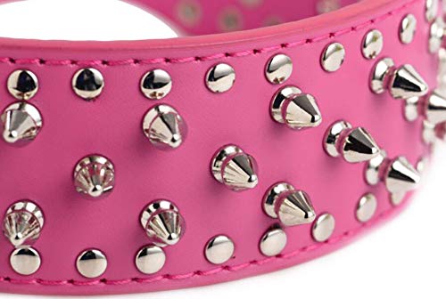Haoyueer Faux Leather Spiked Studded Dog Collar for Medium Large Dogs Pit Bull Mastiff Bully Boxer(Gold Brown,L)