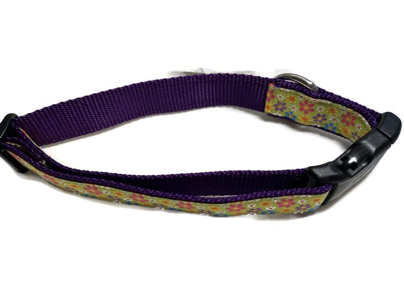 Spring Dog Collar, Caninedesign, Valentine, St Patricks Day, Easter, 1 Inch Wide, Adjustable, Nylon, Medium And Large (Gerber Da
