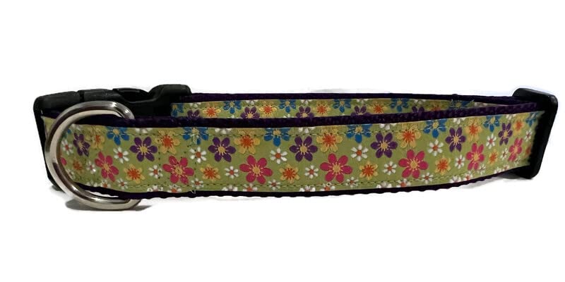 Spring Dog Collar, Caninedesign, Valentine, St Patricks Day, Easter, 1 Inch Wide, Adjustable, Nylon, Medium And Large (Gerber Da