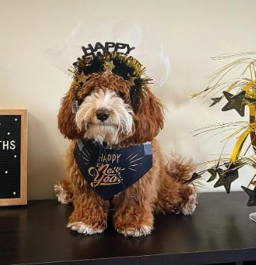 Midlee Happy New Year Dog Headband