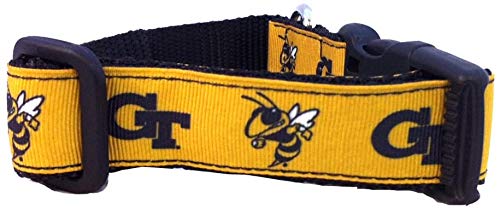 College Dog Collar (Small, Georgia Tech (Yellow))