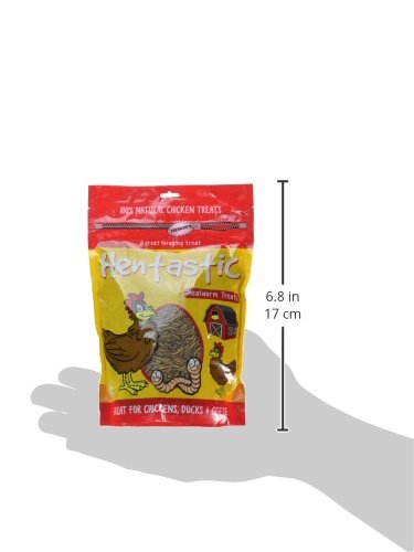 UNIPET USA 084104 Hentastic Mealworm to Go Chicken Treats, 1lb
