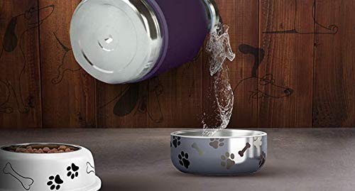 Asobu Dog Bowl Attached To Stainless Steel Insulated Travel Bottle For Human 37Oz/1.1 Liter (White)