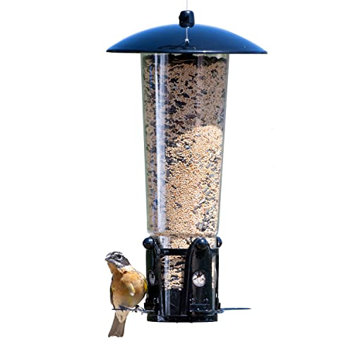 Perky-Pet 333-1SR Squirrel-Be-Gone Max Large Wild Bird Feeder with Flexports, Squirrel Proof Bird Feeder with Weight-Activated P