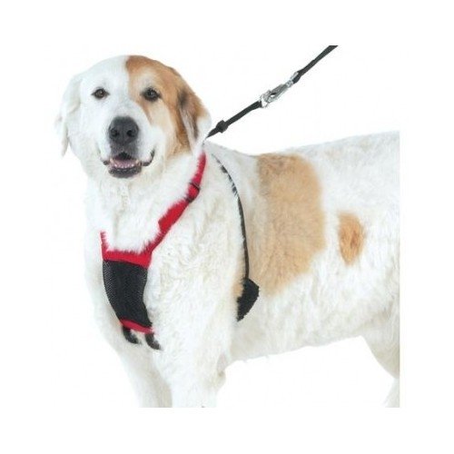Yuppie Puppy Anti-Pull Mesh Harness Large/Xlarge By Sporn