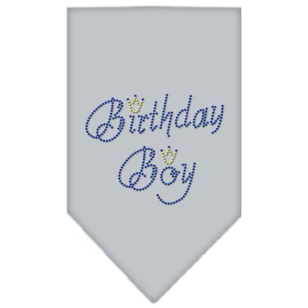 Mirage Pet Products Birthday Boy Rhinestone Bandana, Small, Cocoa