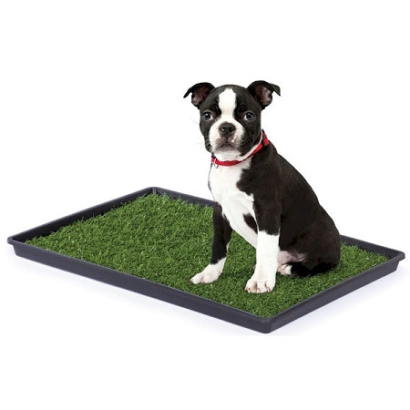 Prevue Hendryx Tinkle Turf - Large,Green