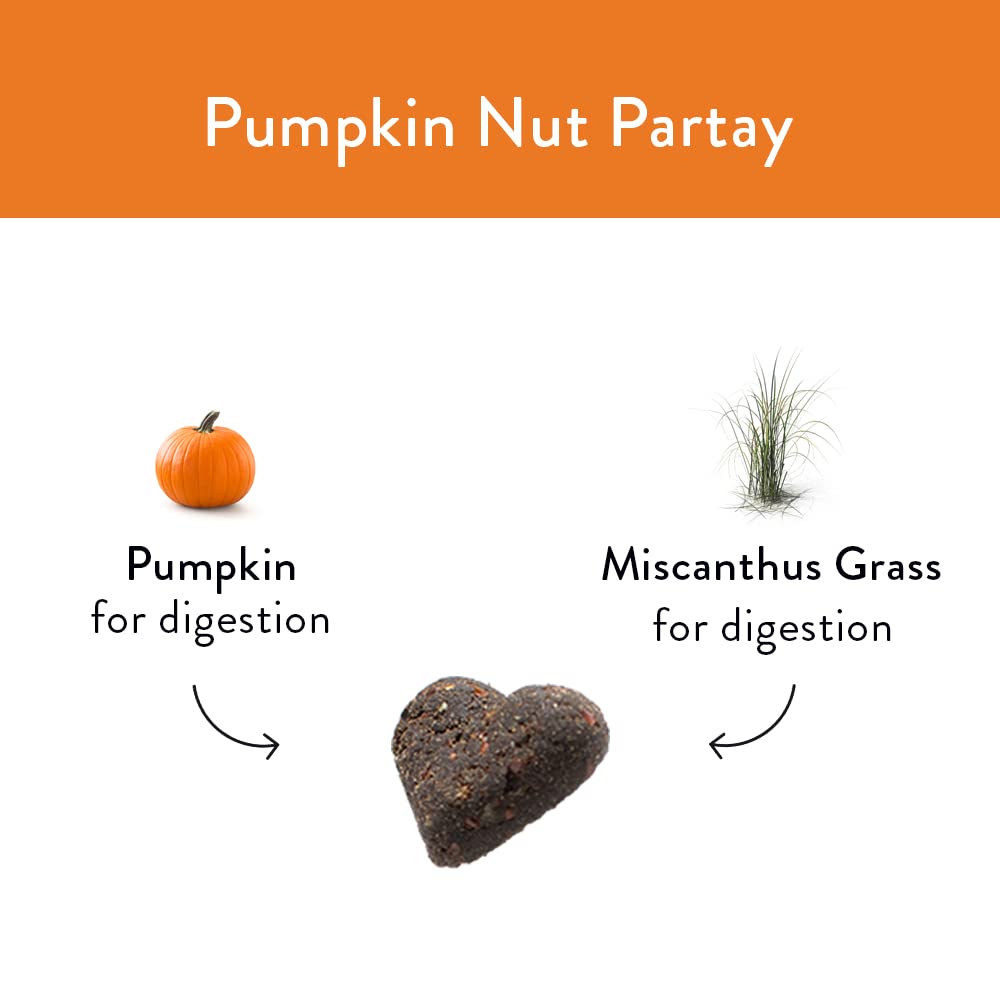 Shameless Pets Soft-Baked Dog Treats, Pumpkin Nut Partay - Natural & Healthy Dog Chews for Digestive Support with Fiber - Made i
