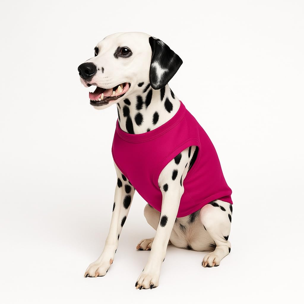 Soon To Be Big Brother Dog Tee Shirt | Sleeveless | Pregnancy Announcement | New Baby | Gender Reveal | Photoshoot (Hot Pink, 4X